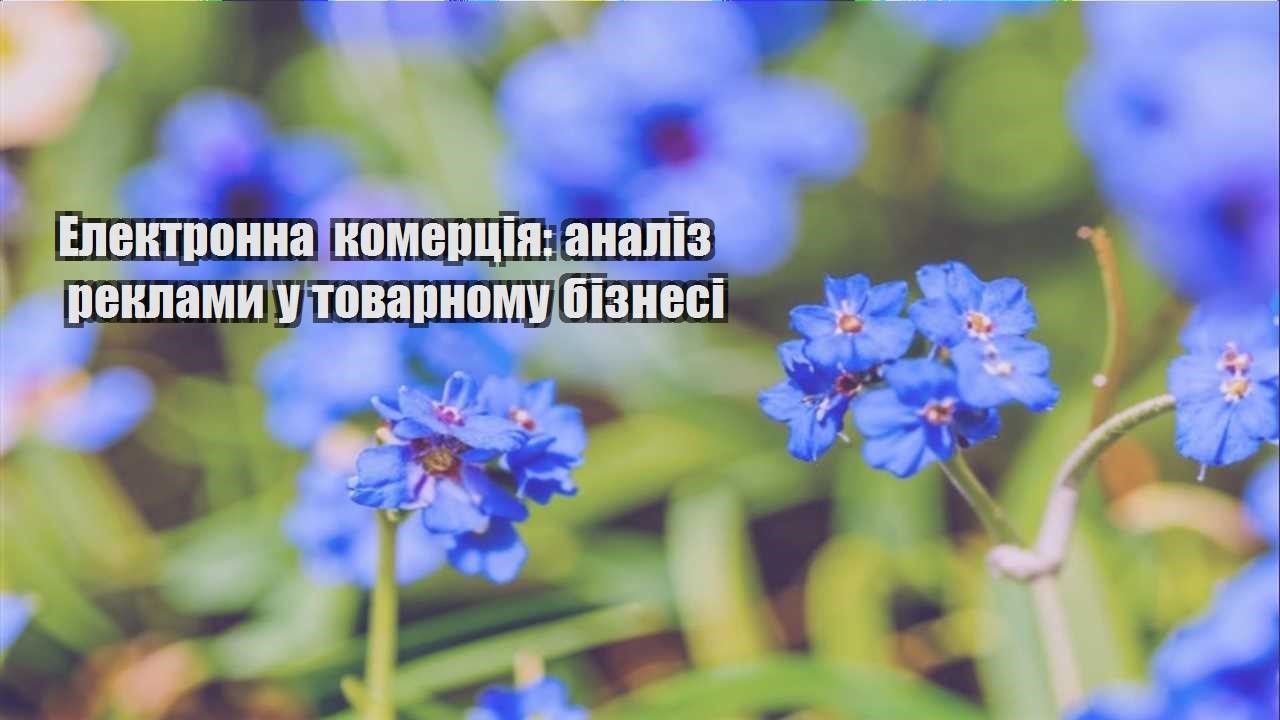 Детальніше про статтю Електронна комерція: аналіз реклами у товарному бізнесі