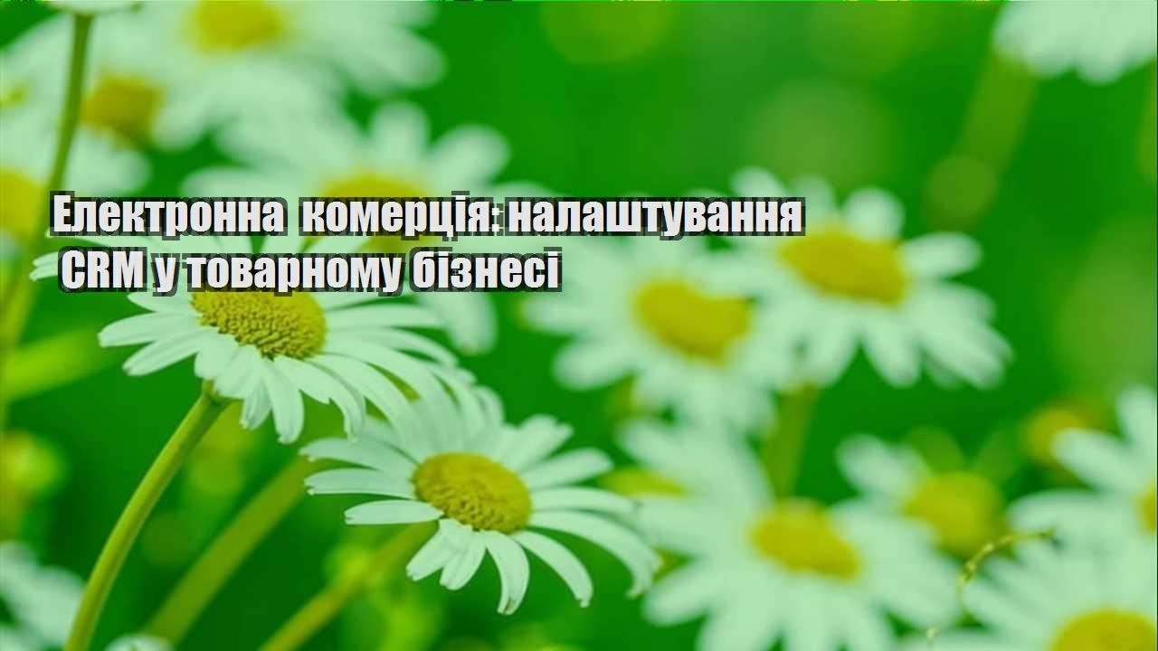 Детальніше про статтю Електронна комерція: налаштування CRM у товарному бізнесі