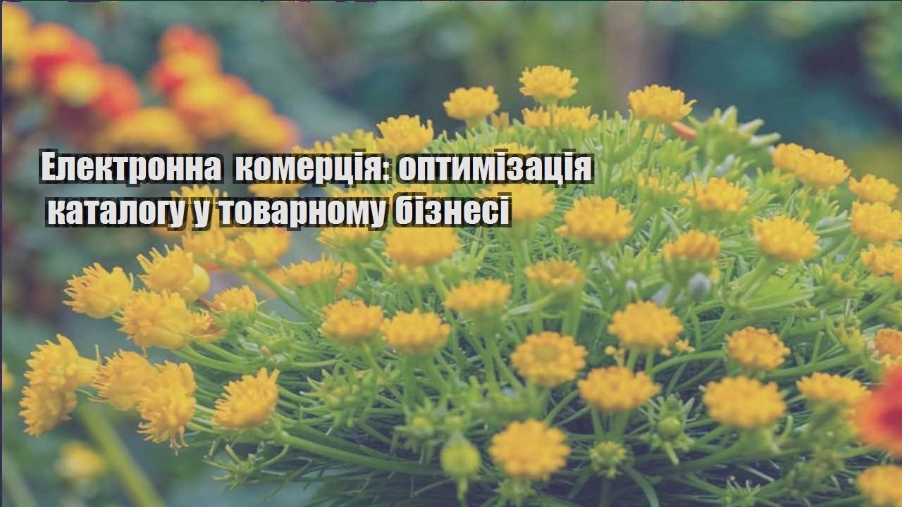 Детальніше про статтю Електронна комерція: оптимізація каталогу у товарному бізнесі