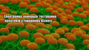 Детальніше про статтю Електронна комерція: тестування креативів у товарному бізнесі