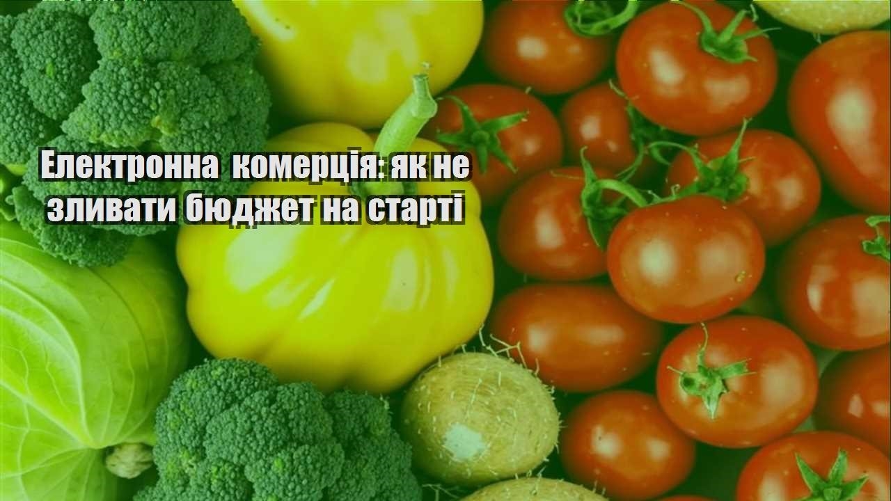 Детальніше про статтю Електронна комерція: як не зливати бюджет на старті