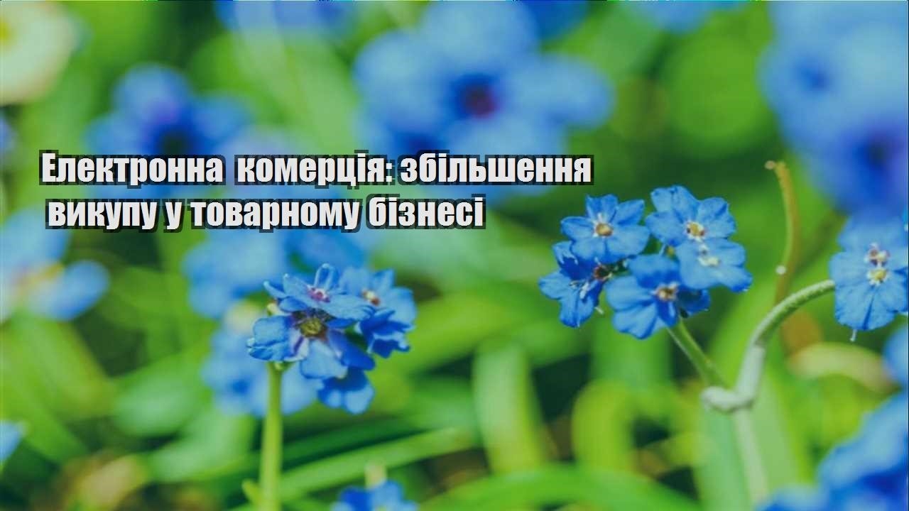 Детальніше про статтю Електронна комерція: збільшення викупу у товарному бізнесі