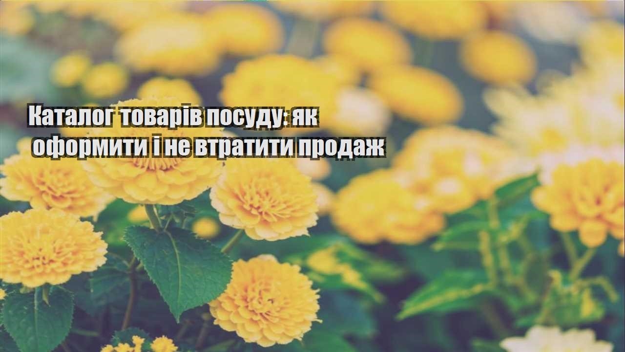 Детальніше про статтю Каталог товарів посуду: як оформити і не втратити продаж