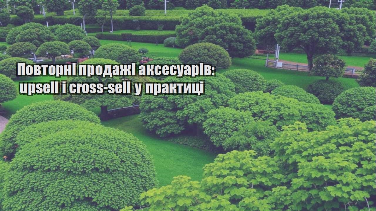 Детальніше про статтю Повторні продажі аксесуарів: upsell і cross-sell у практиці
