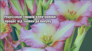 Детальніше про статтю Реалізація товарів електроніки: процес від заявки до викупу