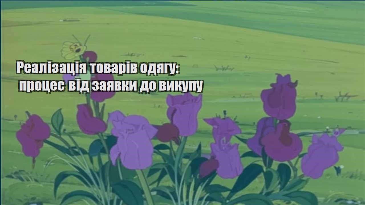 Детальніше про статтю Реалізація товарів одягу: процес від заявки до викупу
