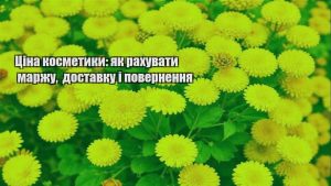 Детальніше про статтю Ціна косметики: як рахувати маржу, доставку і повернення