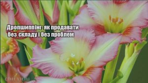 Детальніше про статтю Дропшиппінг: як продавати без складу і без проблем