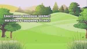 Детальніше про статтю Електронна комерція: чеклист магазину у товарному бізнесі