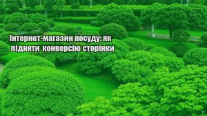 Детальніше про статтю Інтернет-магазин посуду: як підняти конверсію сторінки