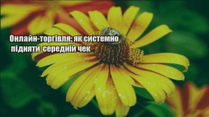 Детальніше про статтю Онлайн-торгівля: як системно підняти середній чек
