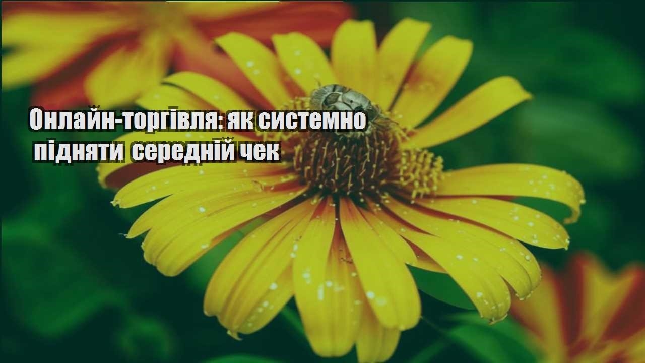 Детальніше про статтю Онлайн-торгівля: як системно підняти середній чек