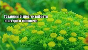 Детальніше про статтю Товарний бізнес: як вибрати нішу для e-commerce
