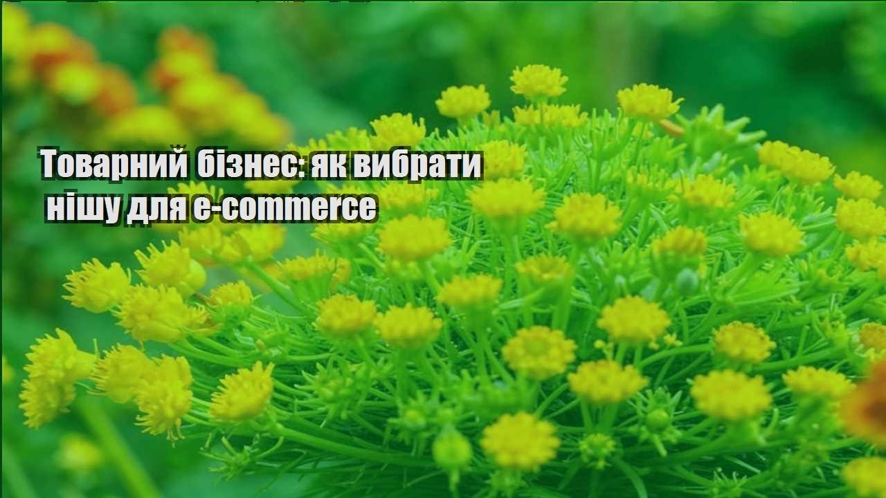 Детальніше про статтю Товарний бізнес: як вибрати нішу для e-commerce