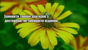 Детальніше про статтю Замовити товари для кухні з доставкою: як зменшити відмови
