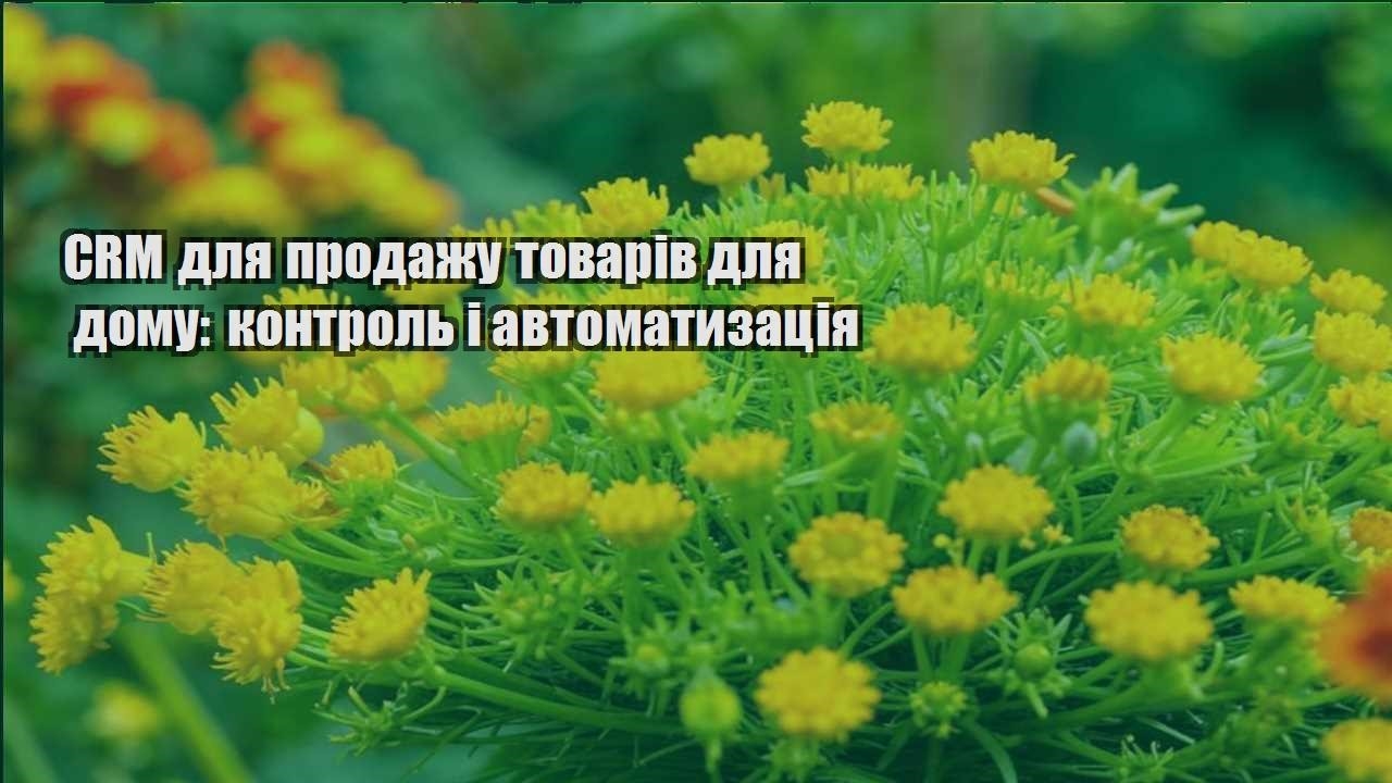 Детальніше про статтю CRM для продажу товарів для дому: контроль і автоматизація