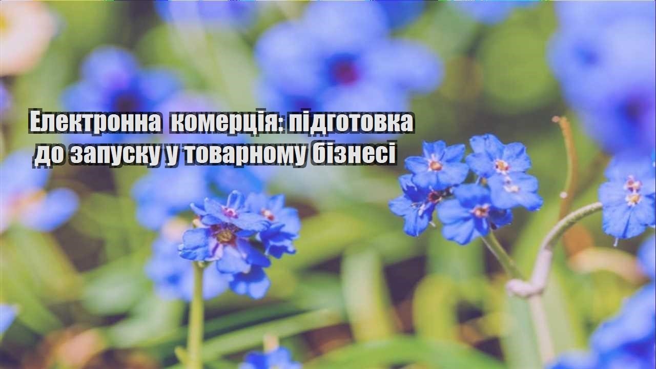 Детальніше про статтю Електронна комерція: підготовка до запуску у товарному бізнесі