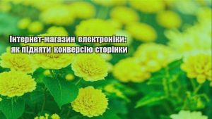 Детальніше про статтю Інтернет-магазин електроніки: як підняти конверсію сторінки