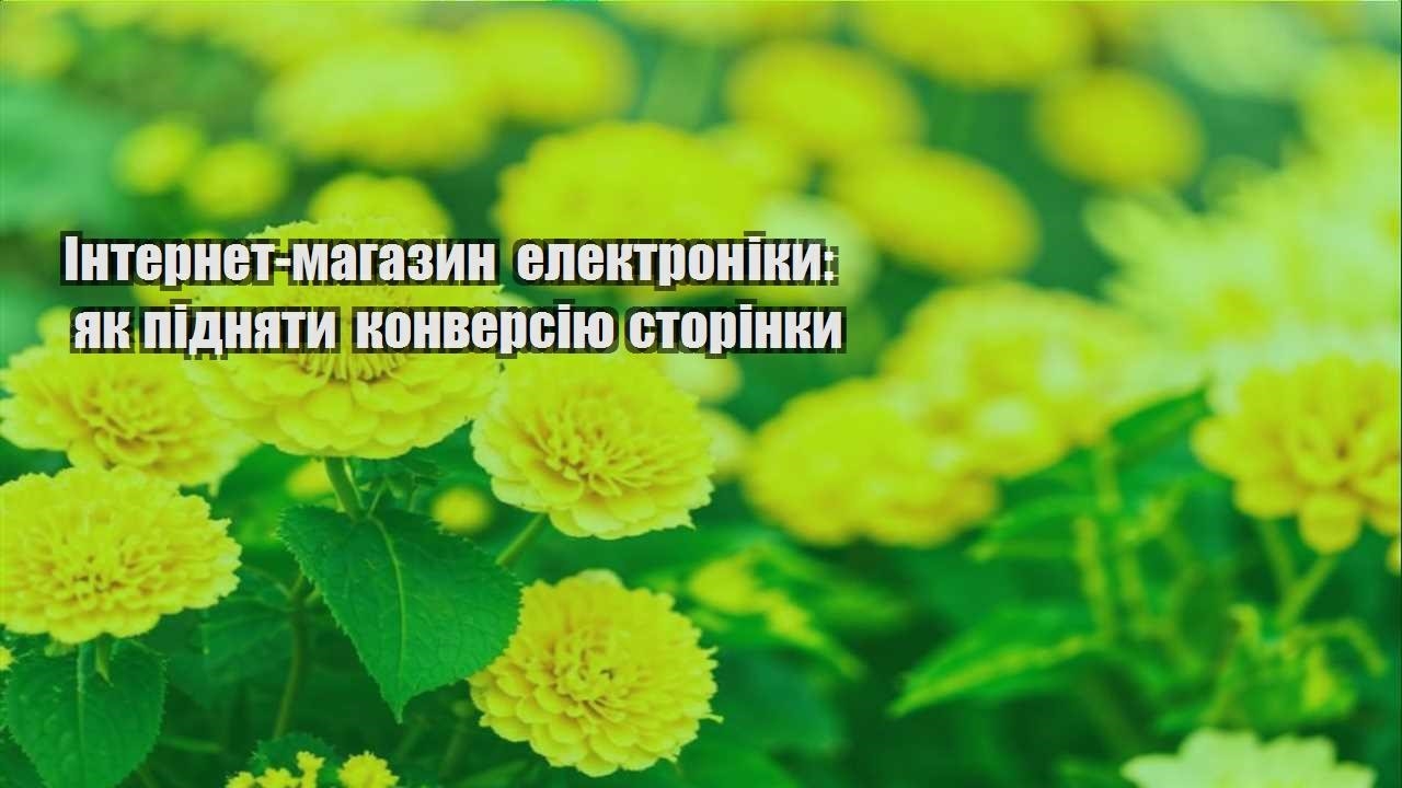 Детальніше про статтю Інтернет-магазин електроніки: як підняти конверсію сторінки