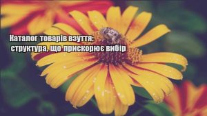 Детальніше про статтю Каталог товарів взуття: структура, що прискорює вибір