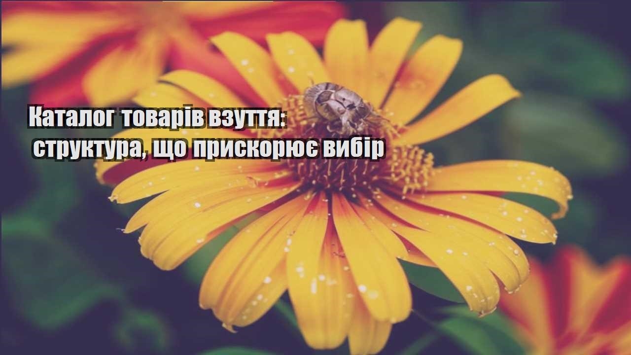 Детальніше про статтю Каталог товарів взуття: структура, що прискорює вибір