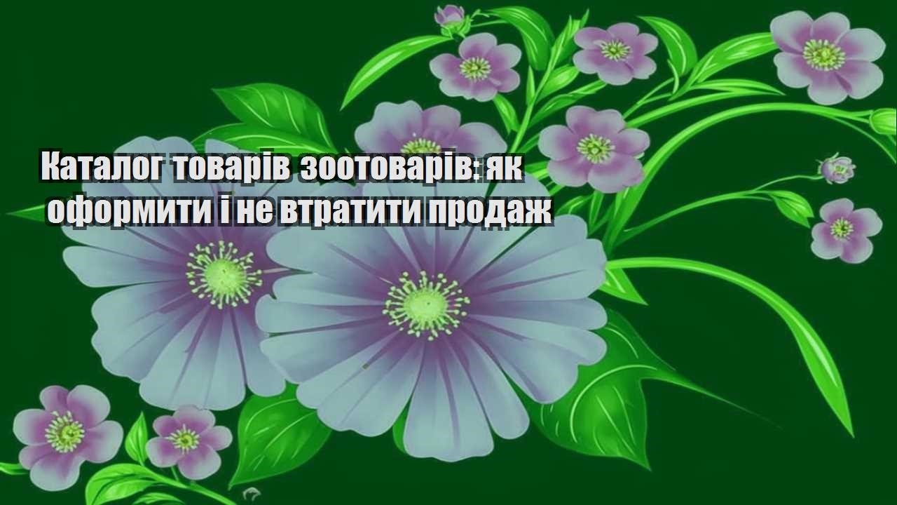 Детальніше про статтю Каталог товарів зоотоварів: як оформити і не втратити продаж