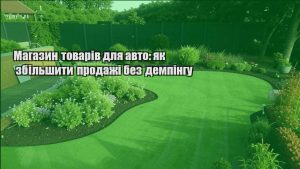 Детальніше про статтю Магазин товарів для авто: як збільшити продажі без демпінгу