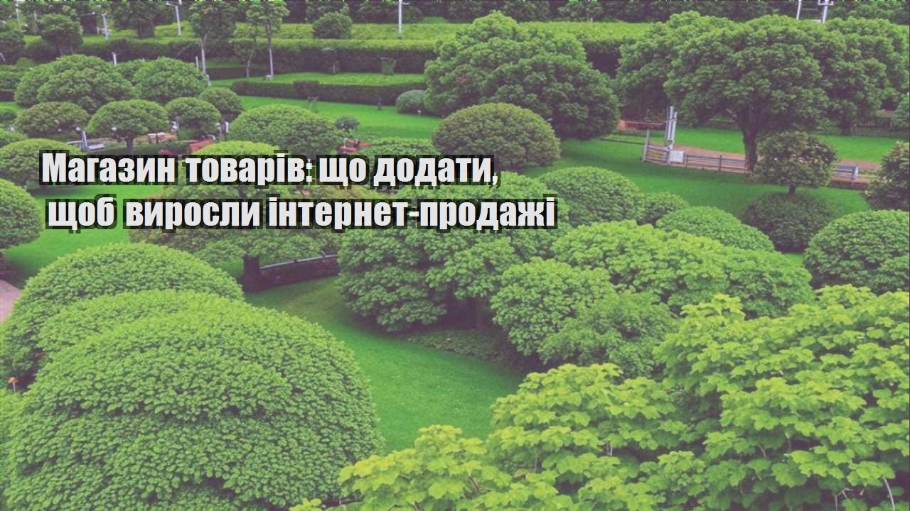 Детальніше про статтю Магазин товарів: що додати, щоб виросли інтернет-продажі
