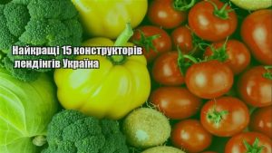 Детальніше про статтю Найкращі 15 конструкторів лендінгів Україна
