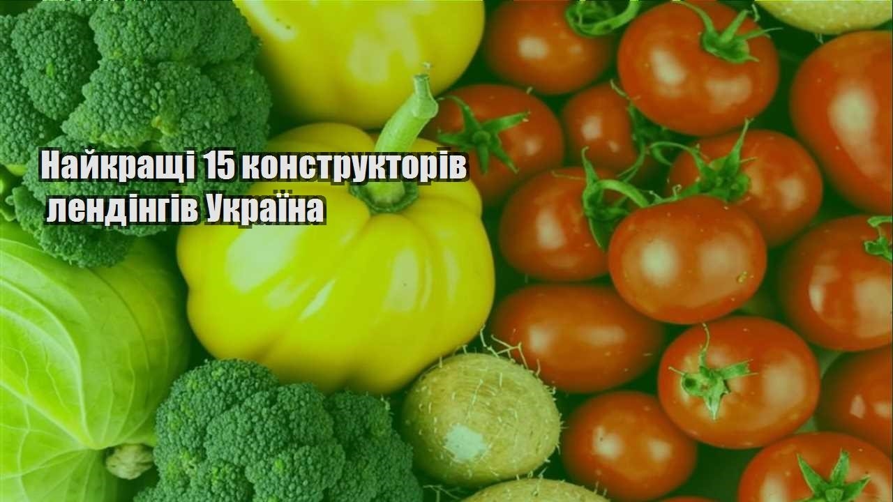 Детальніше про статтю Найкращі 15 конструкторів лендінгів Україна