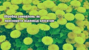 Детальніше про статтю Обробка замовлень: як прискорити відповіді клієнтам