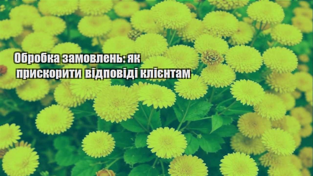 Детальніше про статтю Обробка замовлень: як прискорити відповіді клієнтам