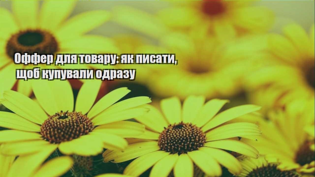 Детальніше про статтю Оффер для товару: як писати, щоб купували одразу