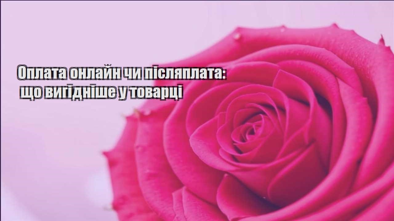 Детальніше про статтю Оплата онлайн чи післяплата: що вигідніше у товарці