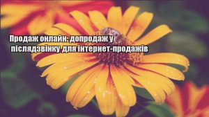 Детальніше про статтю Продаж онлайн: допродаж у післядзвінку для інтернет-продажів