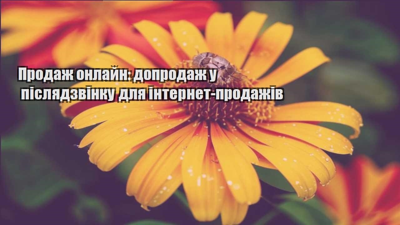 Детальніше про статтю Продаж онлайн: допродаж у післядзвінку для інтернет-продажів