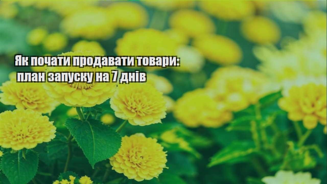 Детальніше про статтю Як почати продавати товари: план запуску на 7 днів