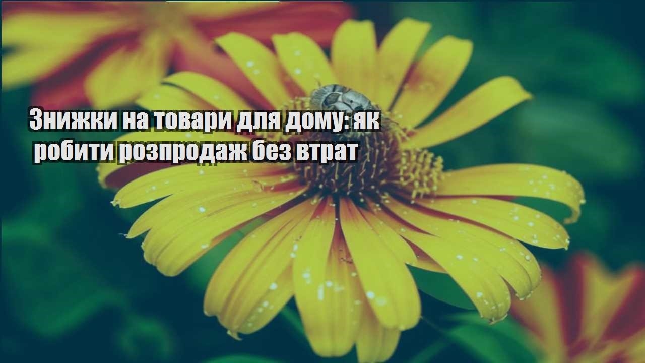 Детальніше про статтю Знижки на товари для дому: як робити розпродаж без втрат