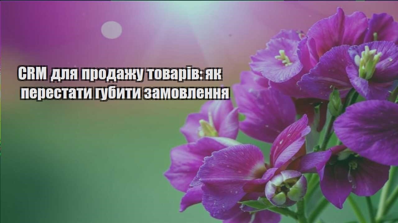 Детальніше про статтю CRM для продажу товарів: як перестати губити замовлення