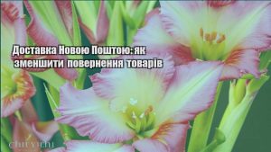 Детальніше про статтю Доставка Новою Поштою: як зменшити повернення товарів