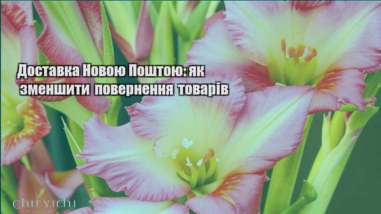 Детальніше про статтю Доставка Новою Поштою: як зменшити повернення товарів