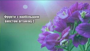 Детальніше про статтю Фрукти з найбільшим вмістом вітаміну C