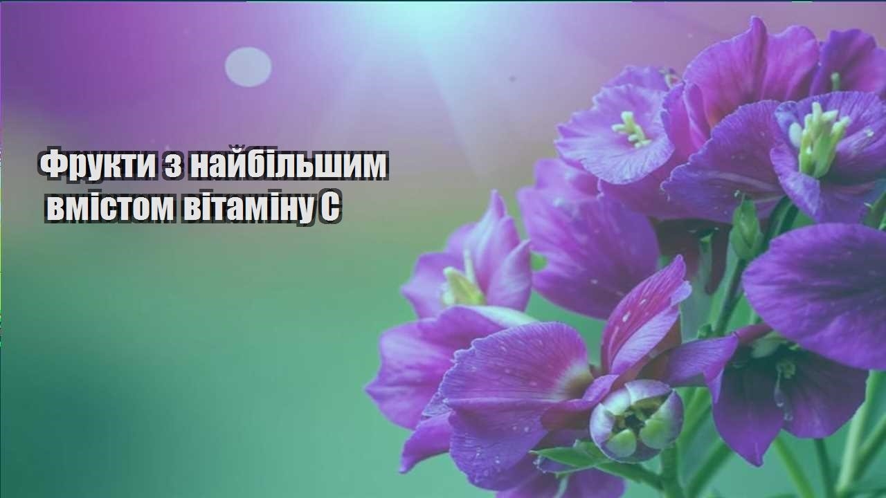 Детальніше про статтю Фрукти з найбільшим вмістом вітаміну C