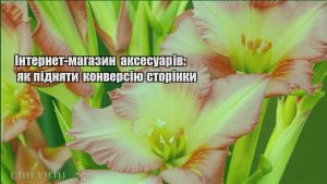 Детальніше про статтю Інтернет-магазин аксесуарів: як підняти конверсію сторінки