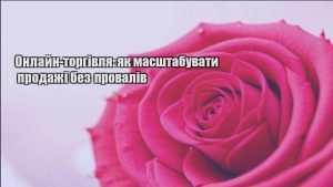Детальніше про статтю Онлайн-торгівля: як масштабувати продажі без провалів