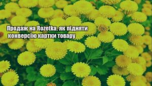 Детальніше про статтю Продаж на Rozetka: як підняти конверсію картки товару