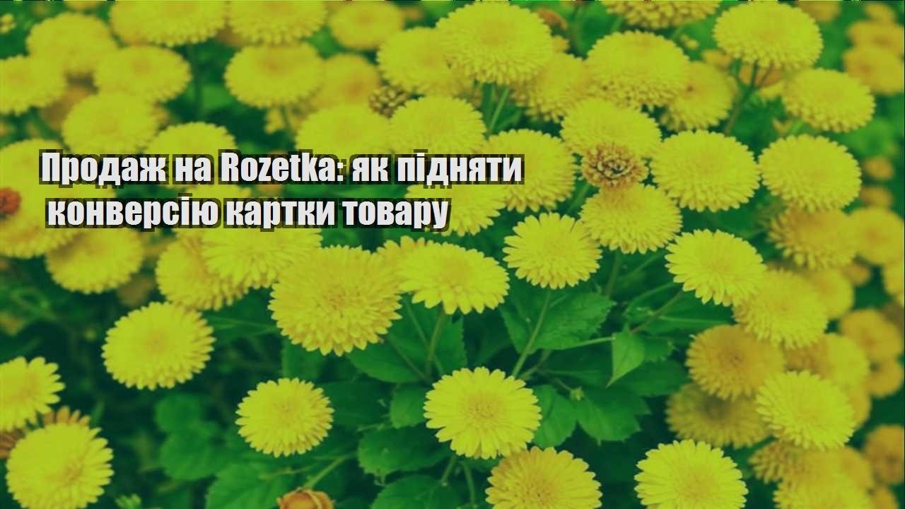 Детальніше про статтю Продаж на Rozetka: як підняти конверсію картки товару
