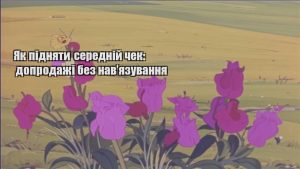 Детальніше про статтю Як підняти середній чек: допродажі без нав’язування
