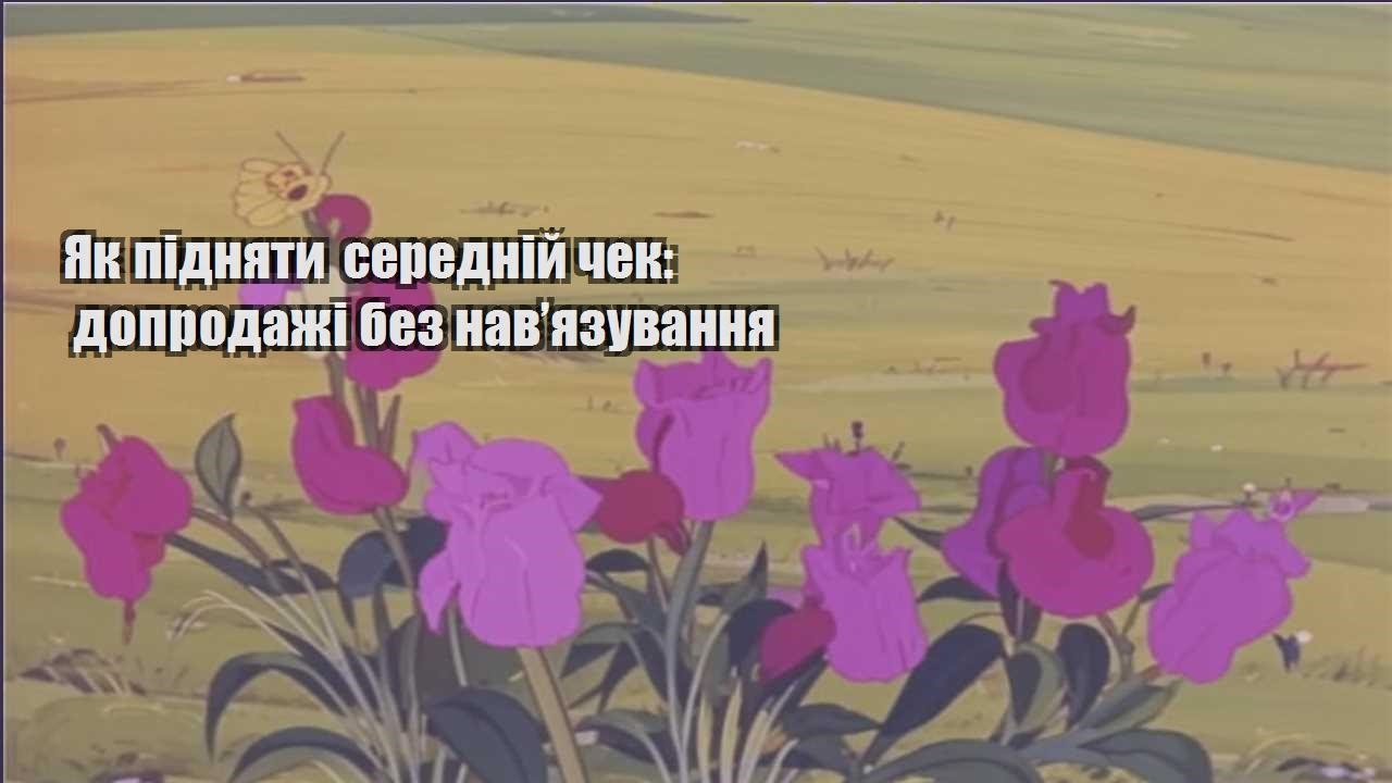 Детальніше про статтю Як підняти середній чек: допродажі без нав’язування