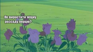 Детальніше про статтю Як виростити міцну розсаду перцю?